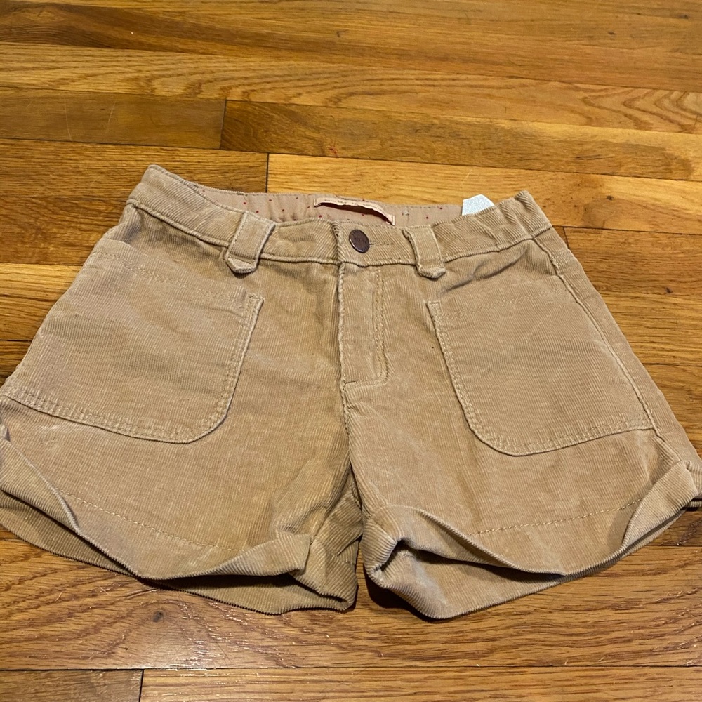 Zara Winter Shorts      ONLY THE SHORTS!!